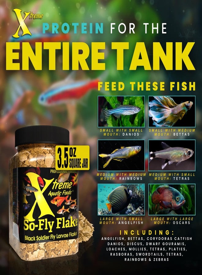 Xtreme Aquatic Foods Xtreme So-Fly Flakes - Sustainable Protein from Black Soldier Fly Larva for Tropical Fish - Eco-Friendly Food, Nutrient-Rich, All-Natural Diet - USA Farm Grown (3.5oz) - Image 3